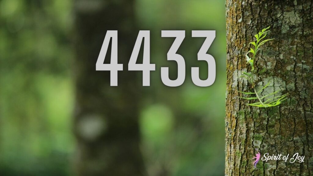 Understanding Angel Number 4433 Meaning - Spirit of Joy
