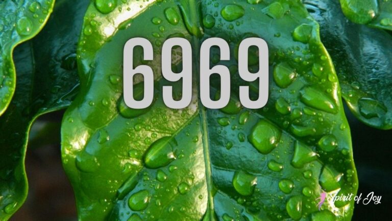 Understanding Angel Number 6969 Meaning - Spirit of Joy