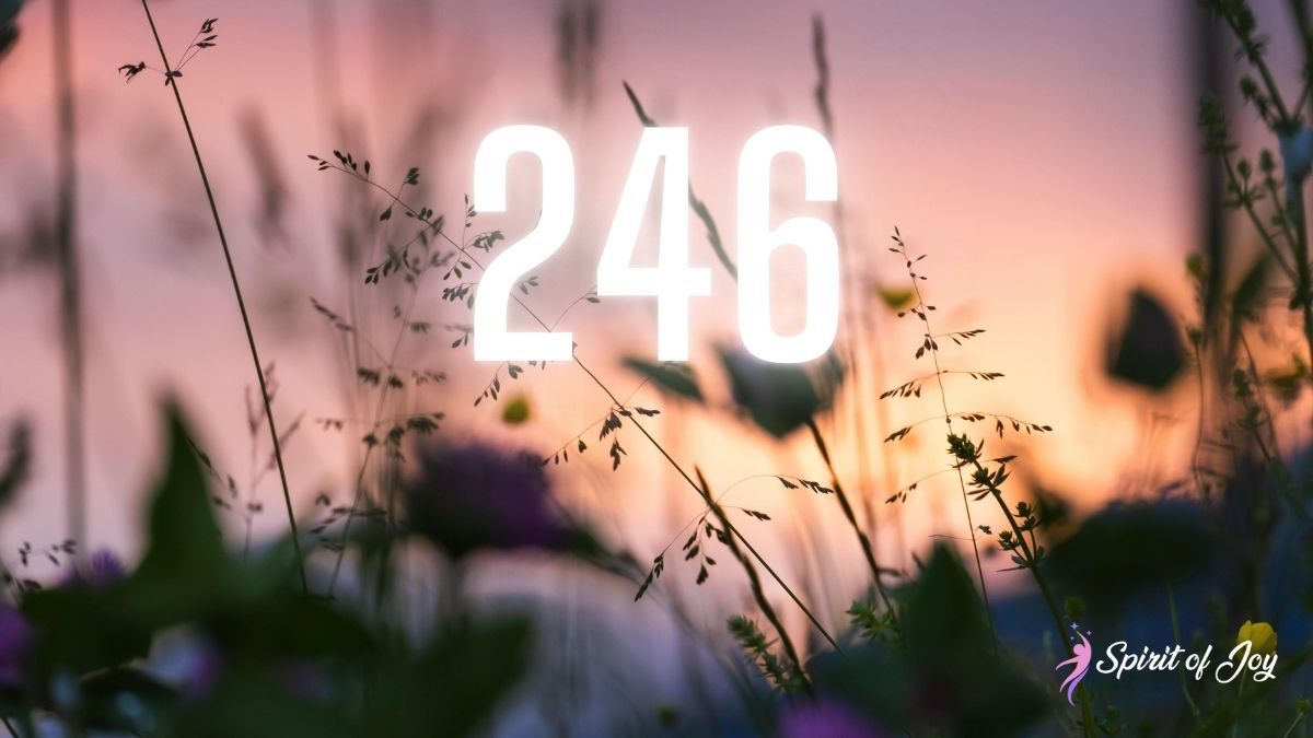 Understanding Angel Number 246 Meaning