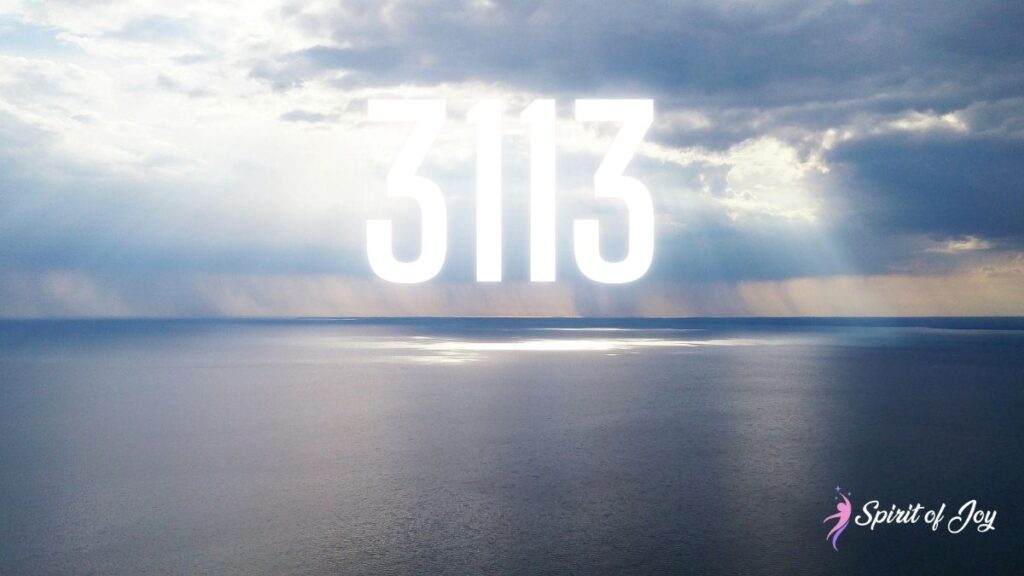 3113 Understanding Angel Number 3113 Meaning - Spirit of Joy