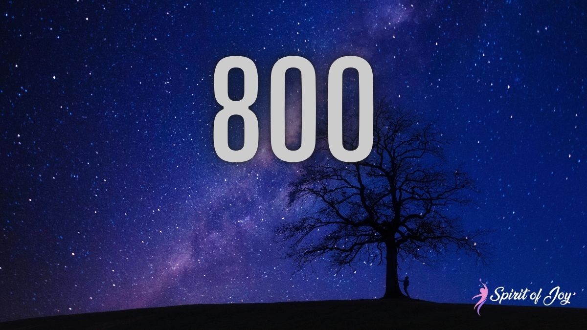 Understanding Angel Number 800 Meaning