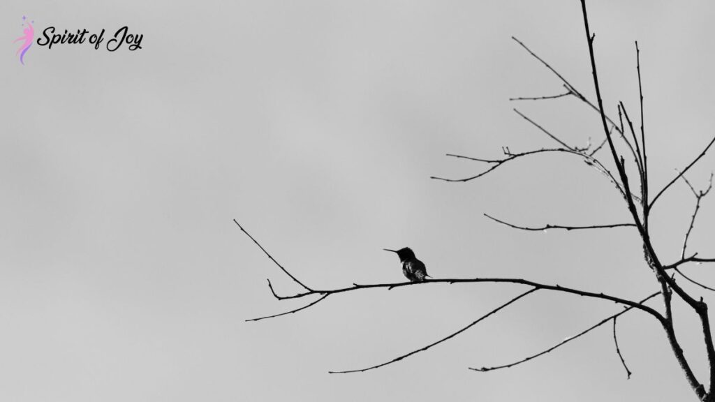 Timeless Wisdom Lessons From Past Existence