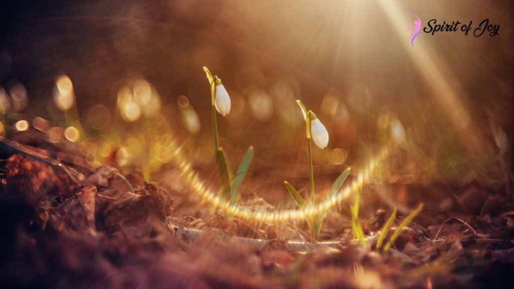 Understanding Near-Death Experiences and Spiritual Rebirth