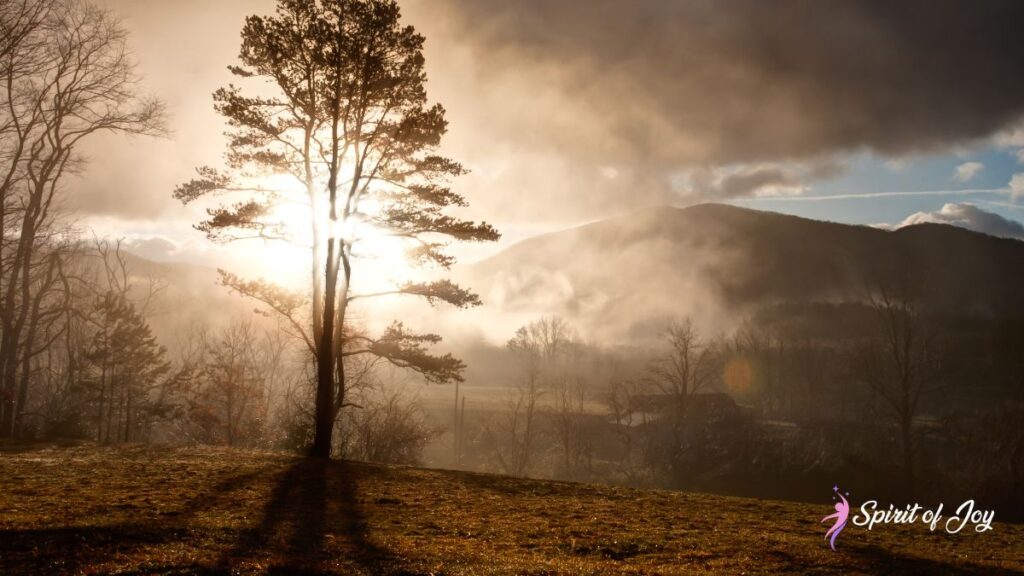Why Do NDEs and Spiritual Awakenings Differ